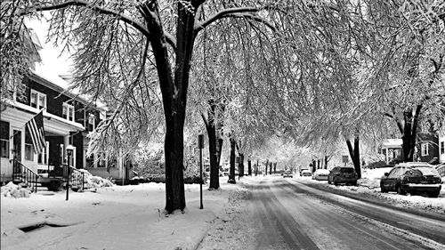 Road in winter