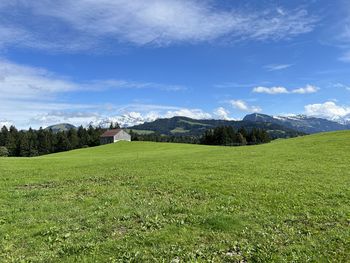 Scenic view of field against sky