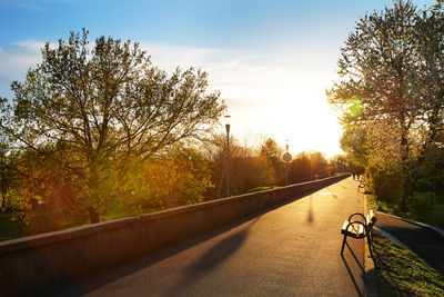 Road amidst trees against sky during autumn