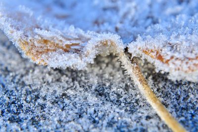 Close-up of frozen frost