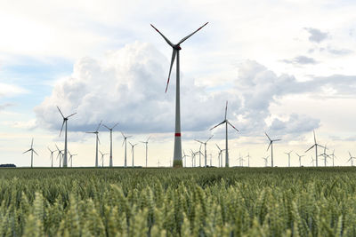 Windmills on field against sky during sunset