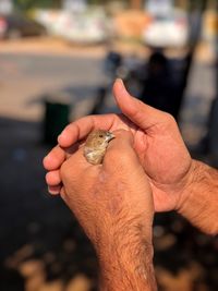 Cropped image of hand holding small outdoors