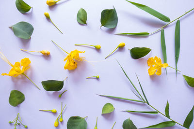 High angle view of plants