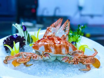 Close-up of fish in plate on table