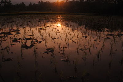 Scenic view of lake against sky at sunset