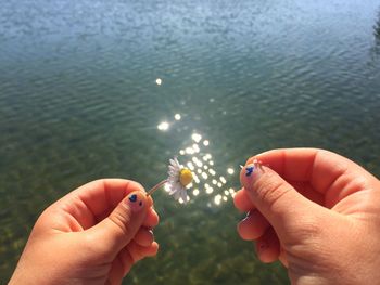 Cropped hands of woman holding flower over lake