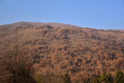 Scenic view of landscape against clear blue sky