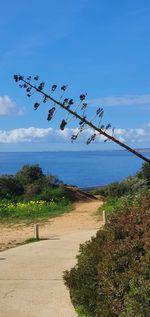 Scenic view of sea against blue sky