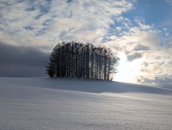 Trees on snow covered landscape against sky during sunset