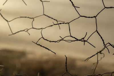 Close-up of barbed wire fence against sky