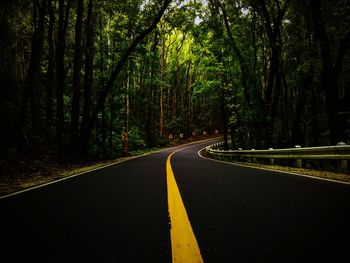 Road amidst trees at night