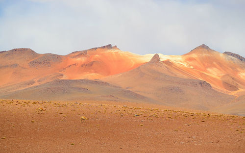 Scenic view of desert against sky