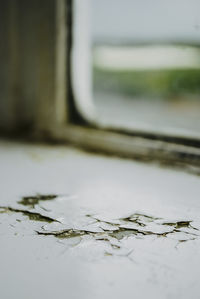 Close-up of water drops on lake