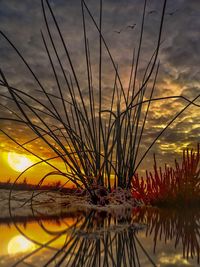 Scenic view of dramatic sky during sunset