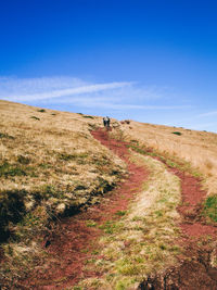 Trail leading towards mountain against blue sky