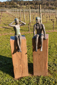 Full length of sculpture on wooden fence