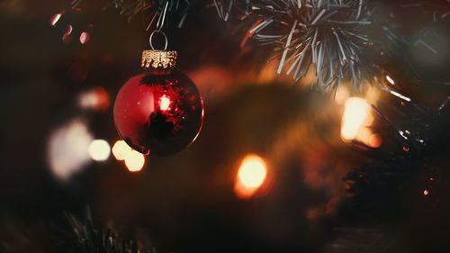 Close-up of christmas tree at night