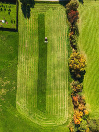 Birdseye photo