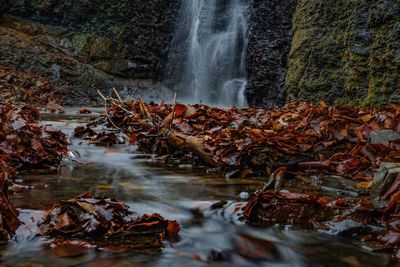 Scenic view of waterfall in forest during autumn