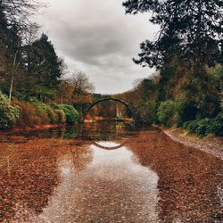 Reflection of trees in water against sky