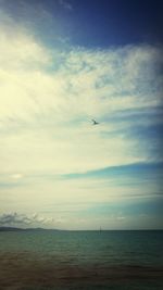 Bird flying over sea