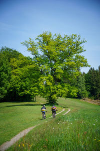 A young woman and a young man riding their mountain bikes on a singletrail near klagenfurt, austria.