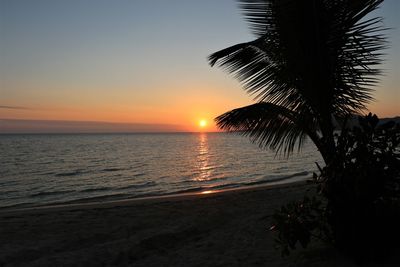 Silhouette palm tree by sea against sky during sunset