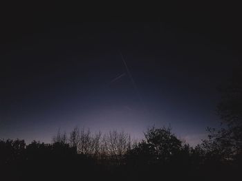 Low angle view of silhouette trees against sky at night