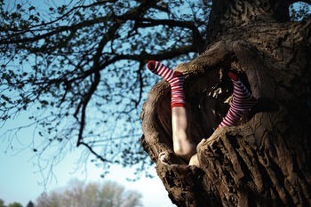 Low section of girl wearing red socks in tree trunk