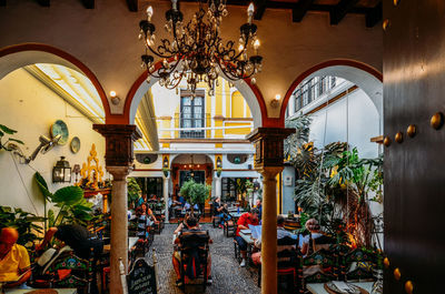 Potted plants hanging in illuminated building