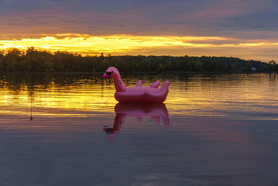 Floatable on lake against sky during sunset