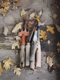 Vegetable tools on wooden background