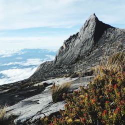 Mount kinabalu