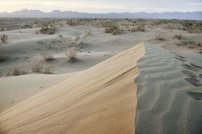 Scenic view of desert