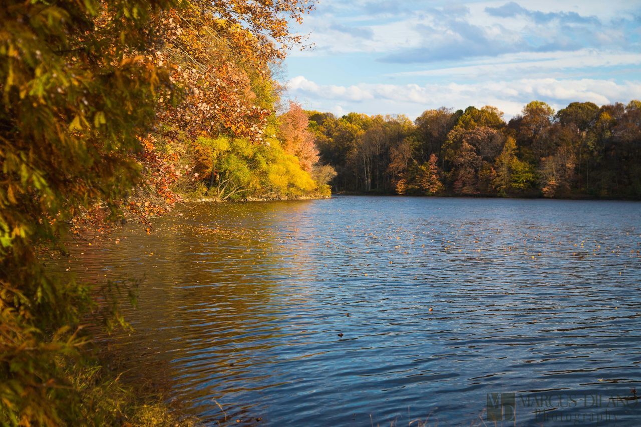 Lake Elkhorn