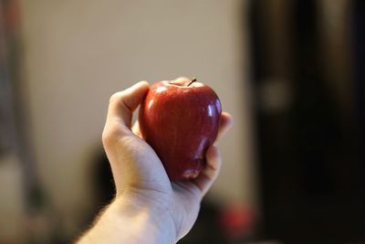 Cropped hand holding apple at home