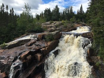 River flowing through forest
