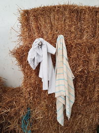 Close-up of clothes drying on hay