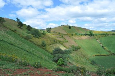 Scenic view of field against sky