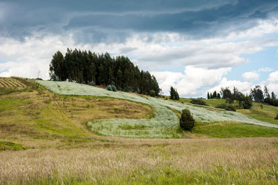 Scenic view of land against sky