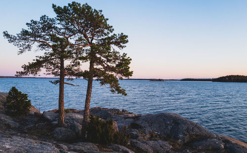 Scenic view of sea against clear sky