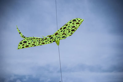 Low angle view of butterfly on leaf against sky