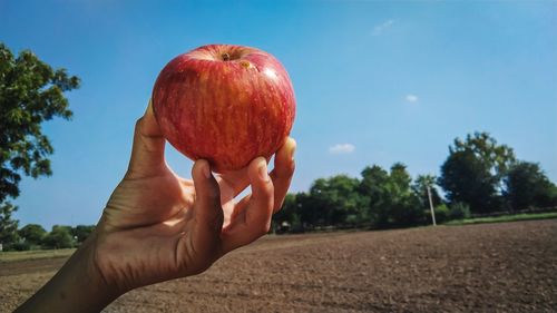 Cropped image of hand holding strawberry against sky