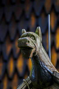 Close-up of lizard on statue