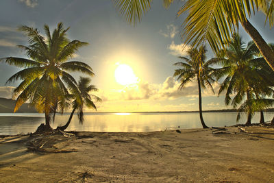 Scenery from maupiti lagoon