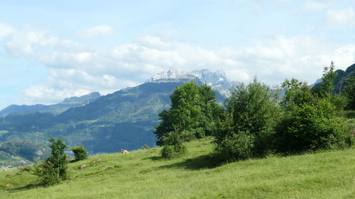 Scenic view of landscape against sky