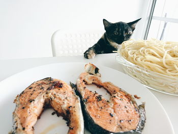 Close-up of cat on table