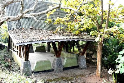 Built structure against trees