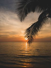 Palm tree by sea against sky at sunset
