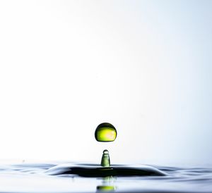 Close-up of water drops on white background